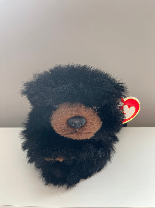 Ty Classics Collection “Baby Paws” the Black Bear  (12 inch)