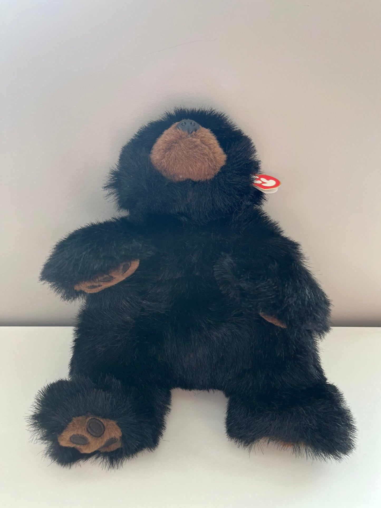 Ty Classics Collection “Baby Paws” the Black Bear  (12 inch)