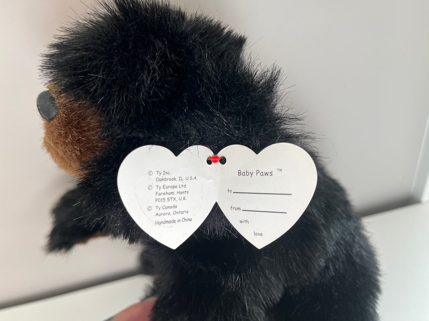 Ty Classics Collection “Baby Paws” the Black Bear  (12 inch)