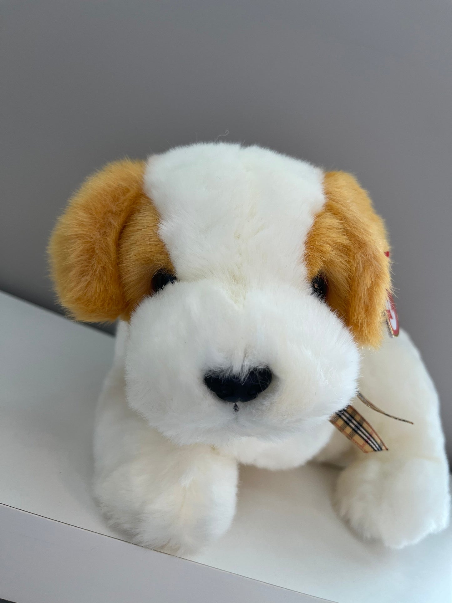 Ty Classics Collection “Romper” the Cute Dog (12 inch)