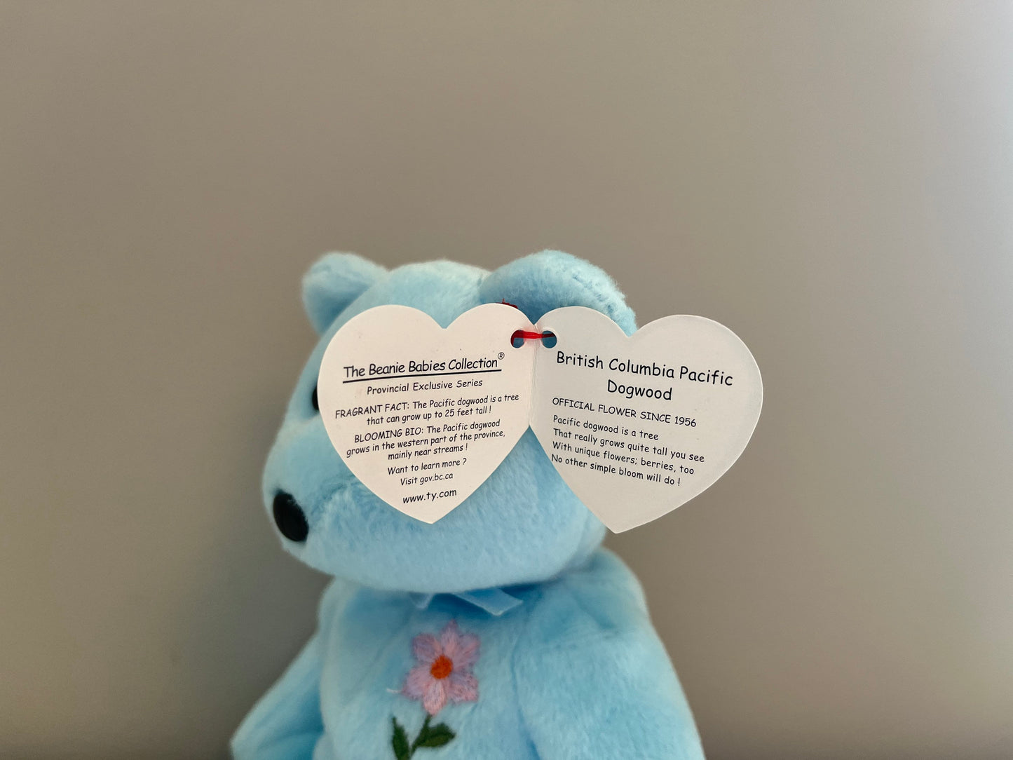 Ty Beanie Baby “British Columbia Pacific Dogwood” the Bear - Canada Exclusive (8.5 inch)