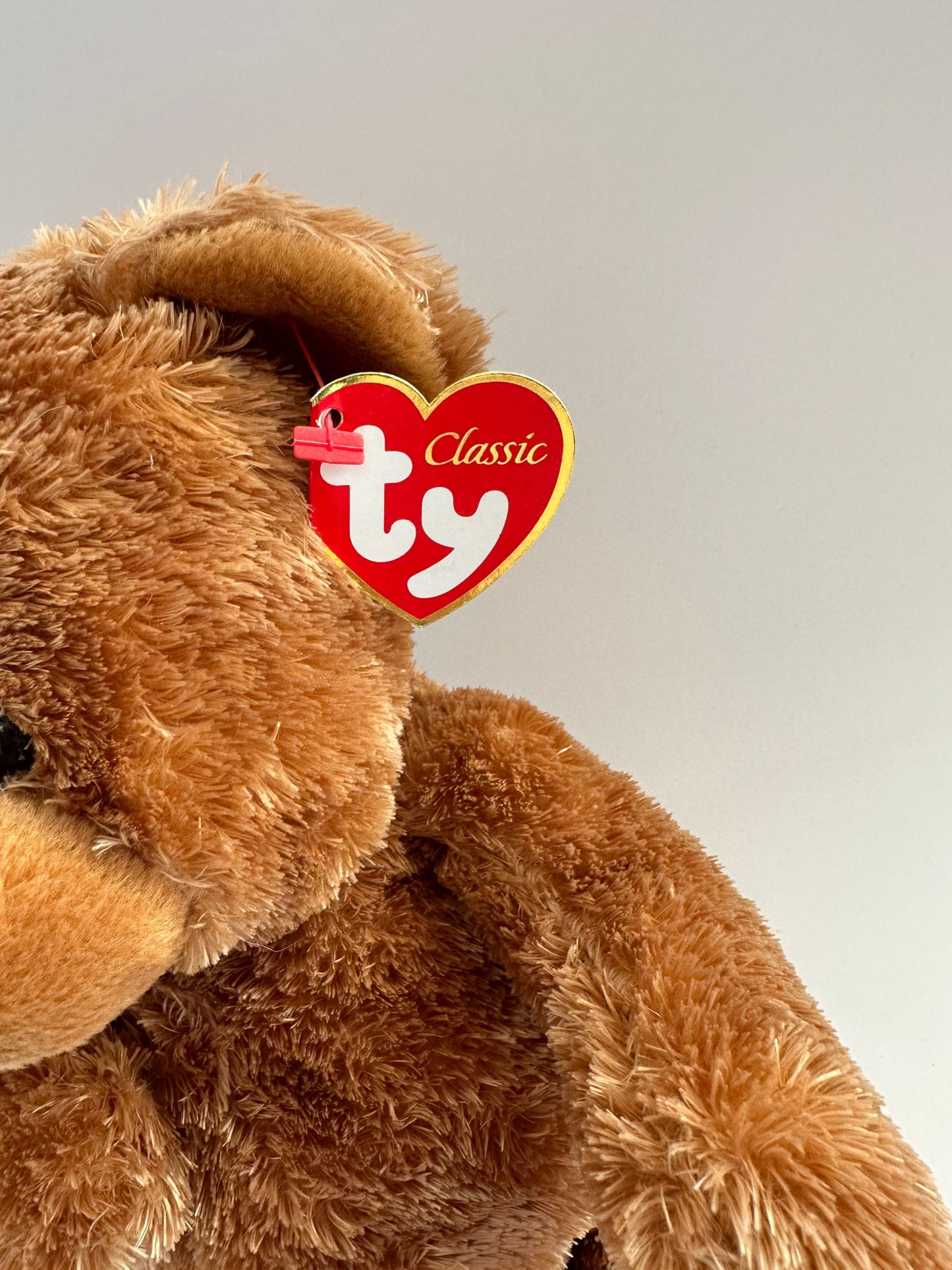 Ty Classics Collection “Everheart” the Teddy Bear Holding Red Heart (13 inch)