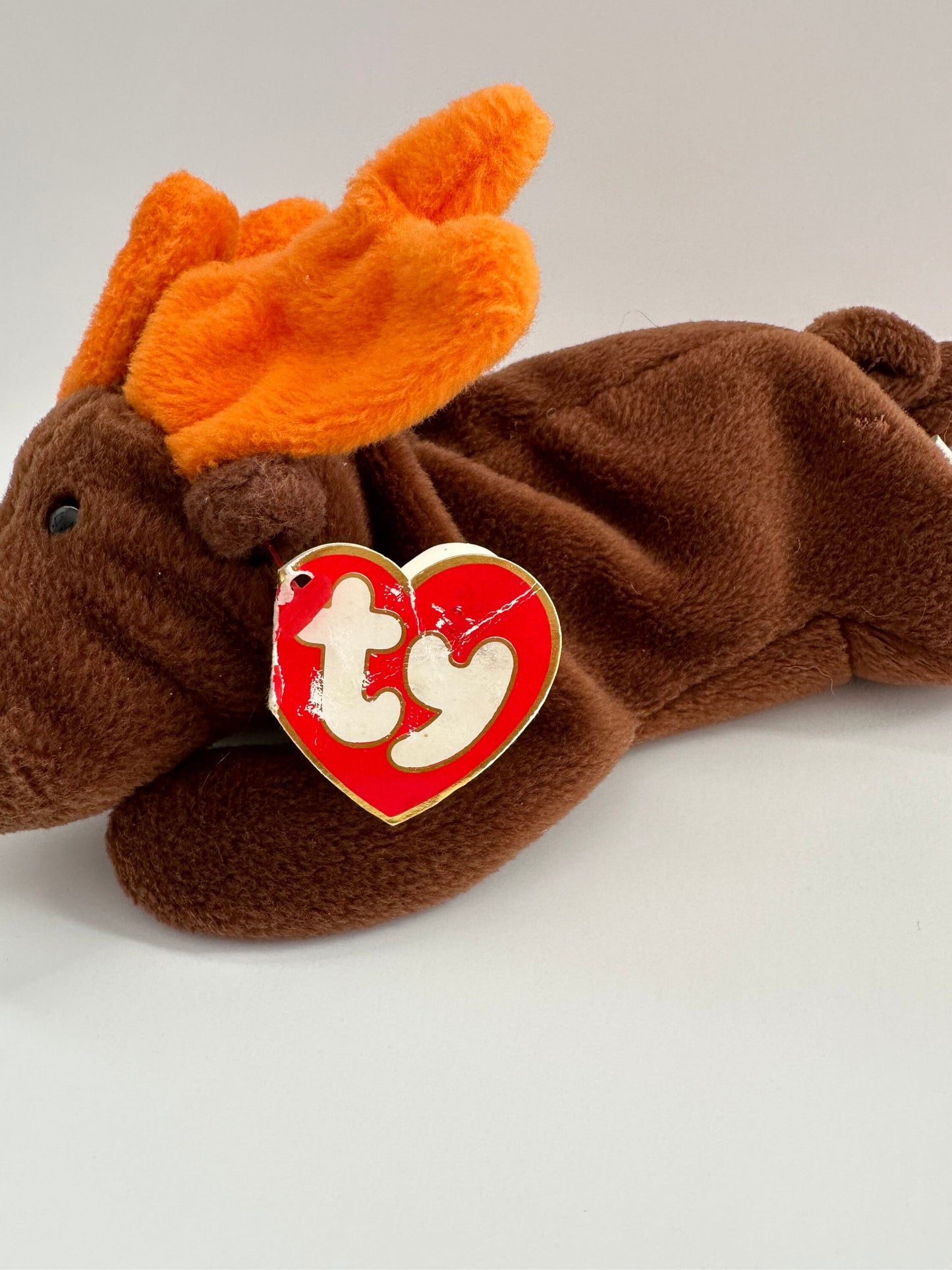 Ty Beanie Baby “Chocolate” the Moose - 3rd Generation Hang Tag, 1st Generation Tush Tag - Loved Non-Mint Condition, See photos (8 inch)