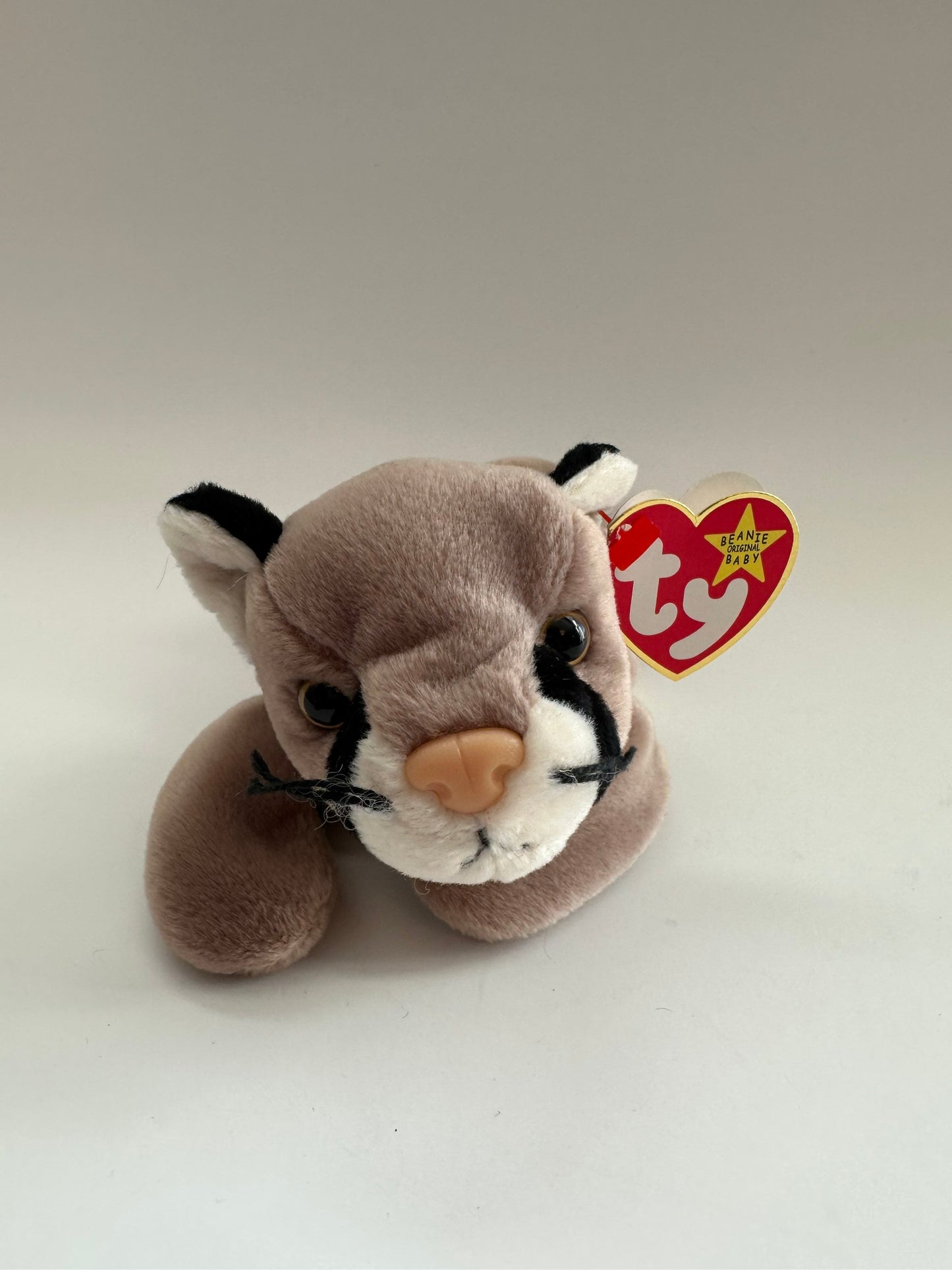 Ty Beanie Baby “Canyon” the Cougar! (8.5 inch)