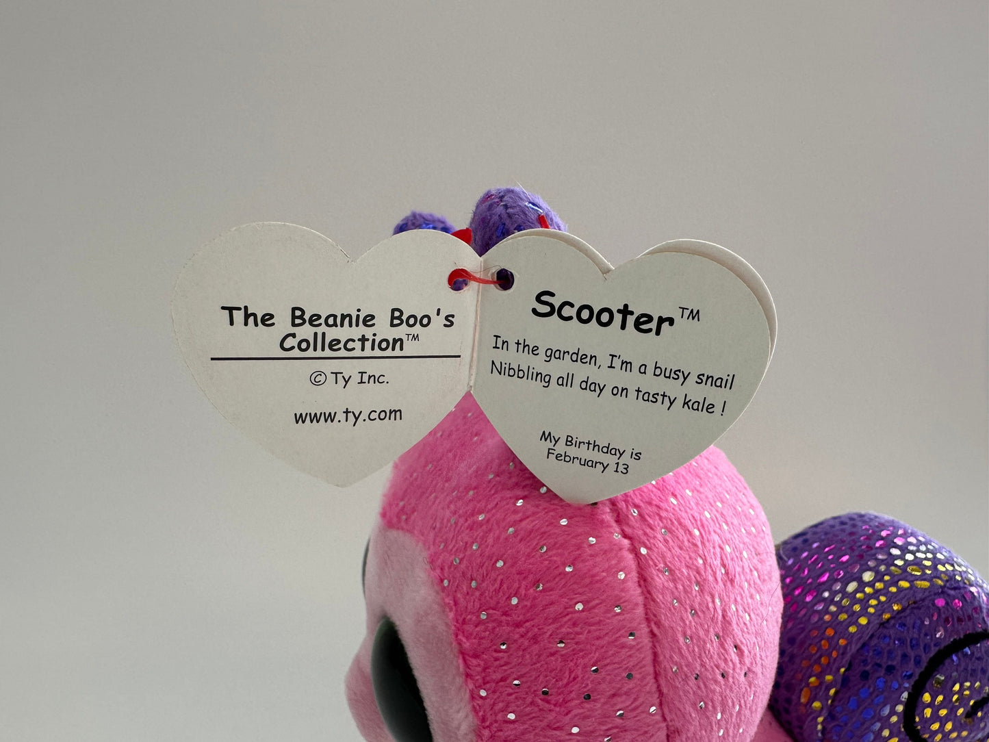 Ty Beanie Boo “Scooter” the Snail Plush (6 inch)