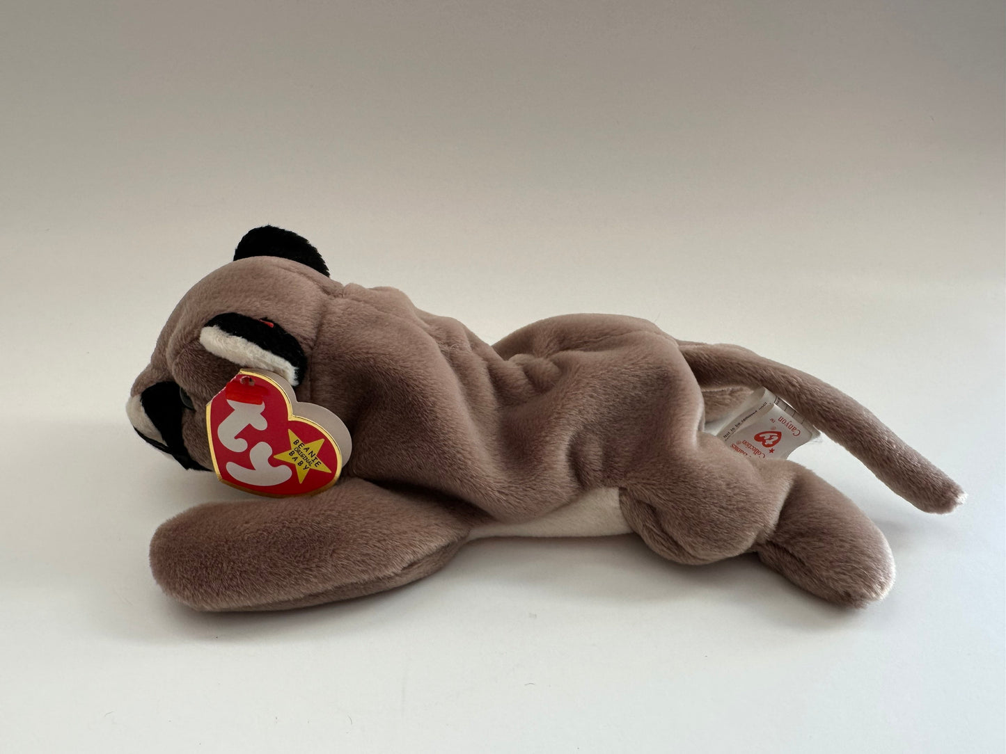 Ty Beanie Baby “Canyon” the Cougar! (8.5 inch)