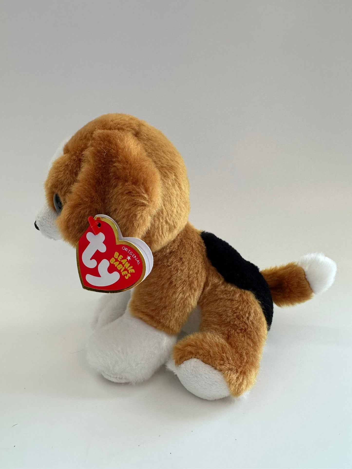 Ty Beanie Baby “Snicky” the Adorable Dog - (6 inch)