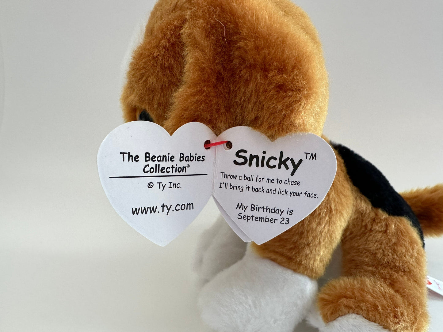 Ty Beanie Baby “Snicky” the Adorable Dog - (6 inch)