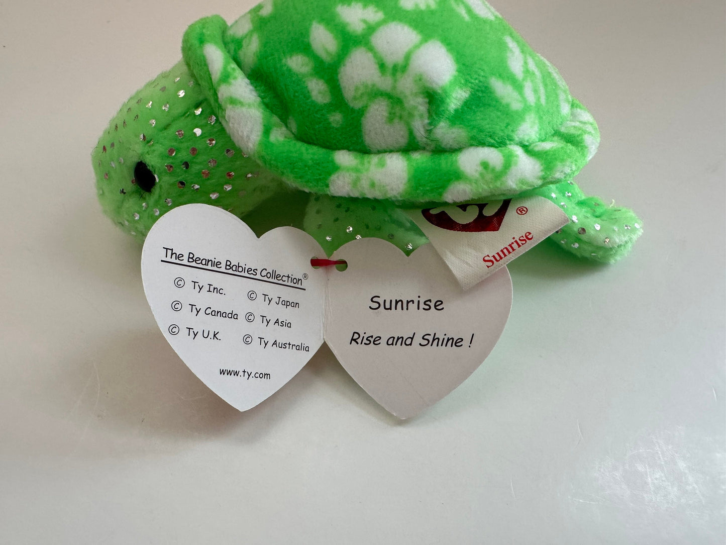 Ty Key Clip Beanie Baby “Sunrise” the Turtle -  Metal Keychain (4 inch)