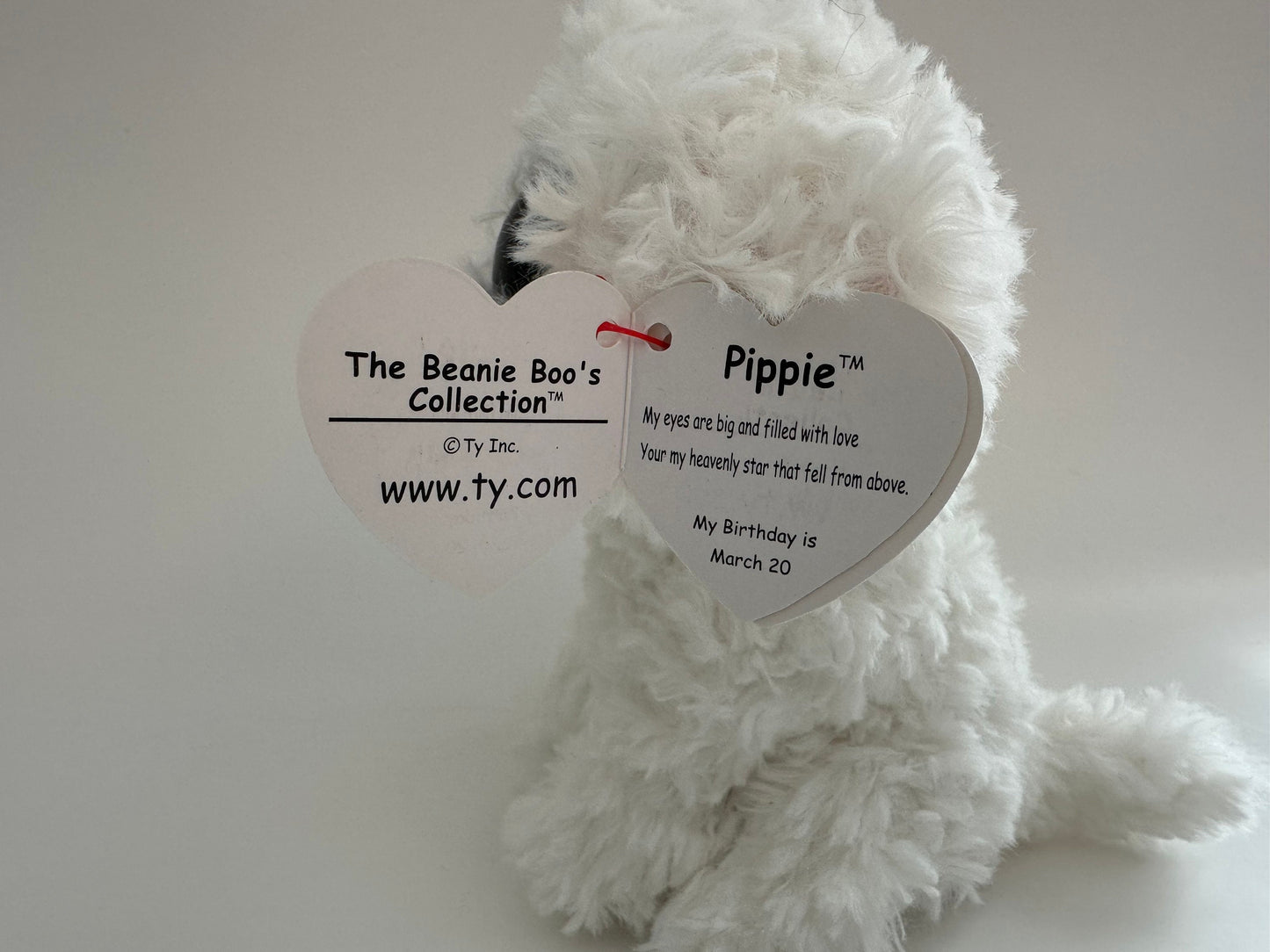 Ty Beanie Boo “Pippie” the White Dog Plush (6 inch)