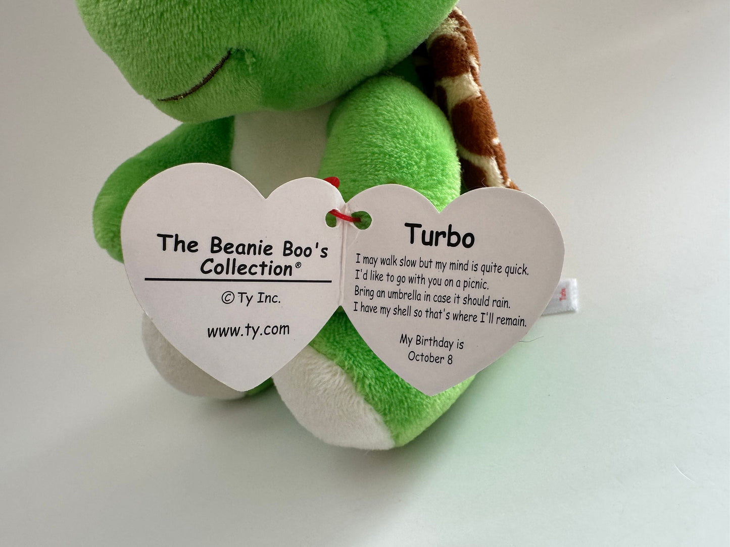 Ty Beanie Boo “Turbo” the Turtle Plush (6 inch)