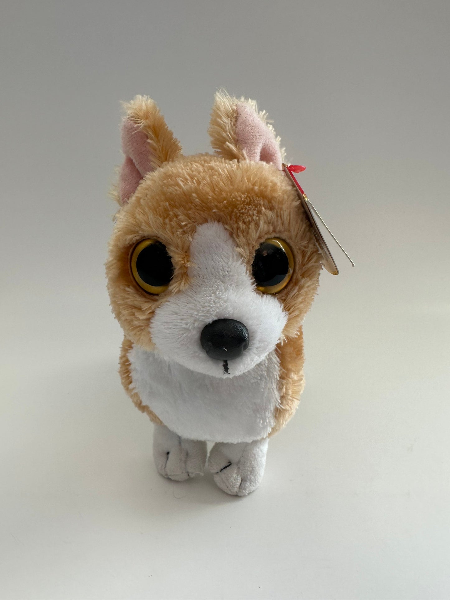 Ty Beanie Baby “Otis” the Welsh Corgi Dog - Rare! (6 inch)