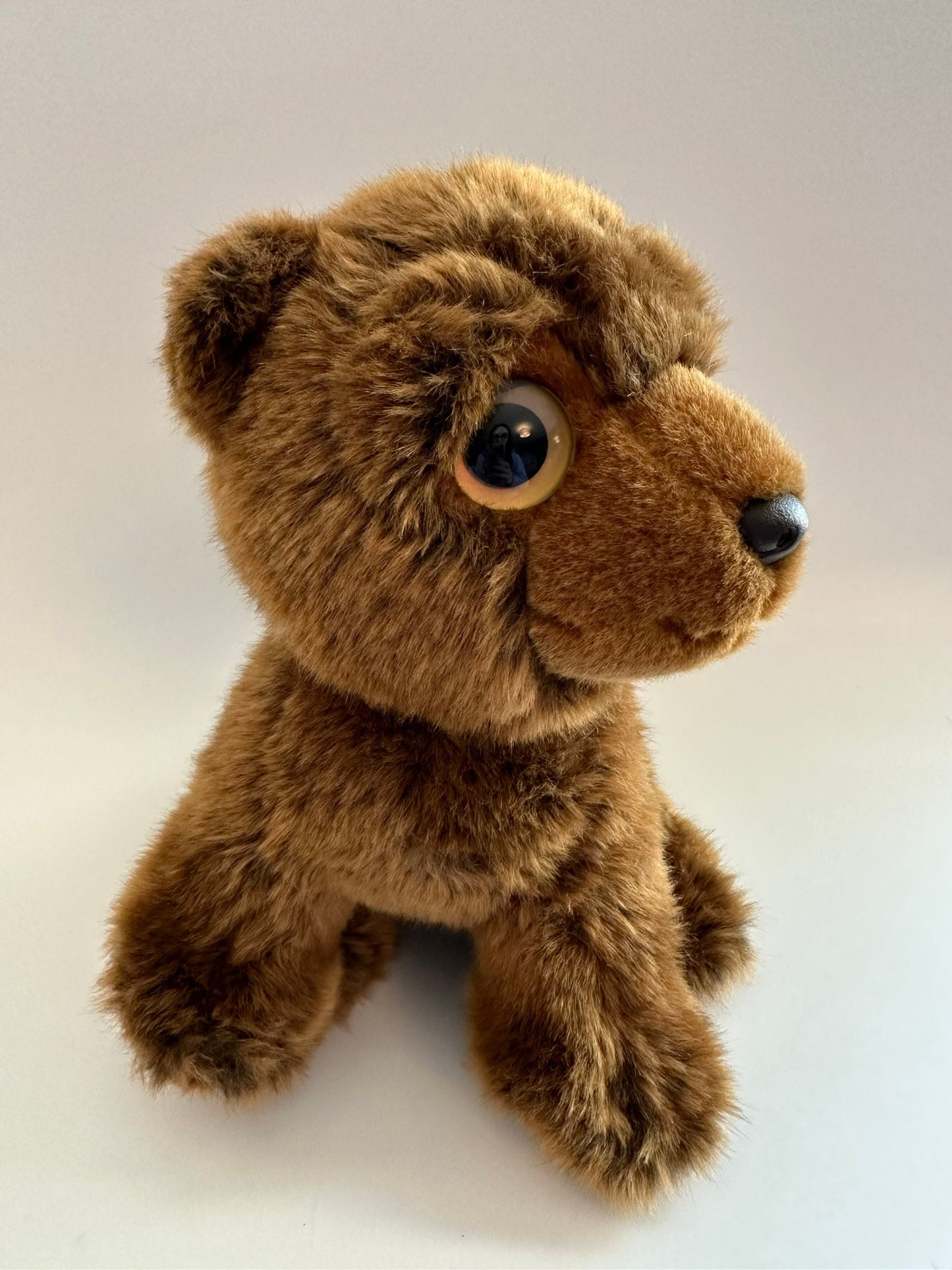 Ty Wild Wild Best Collection “Yukon” the Brown Bear  (10 inch)