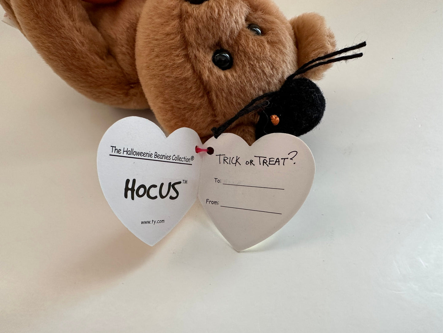 Ty Halloweenie Beanies “Hocus” the Halloween Bear - Teenie Beanie (4 inch)