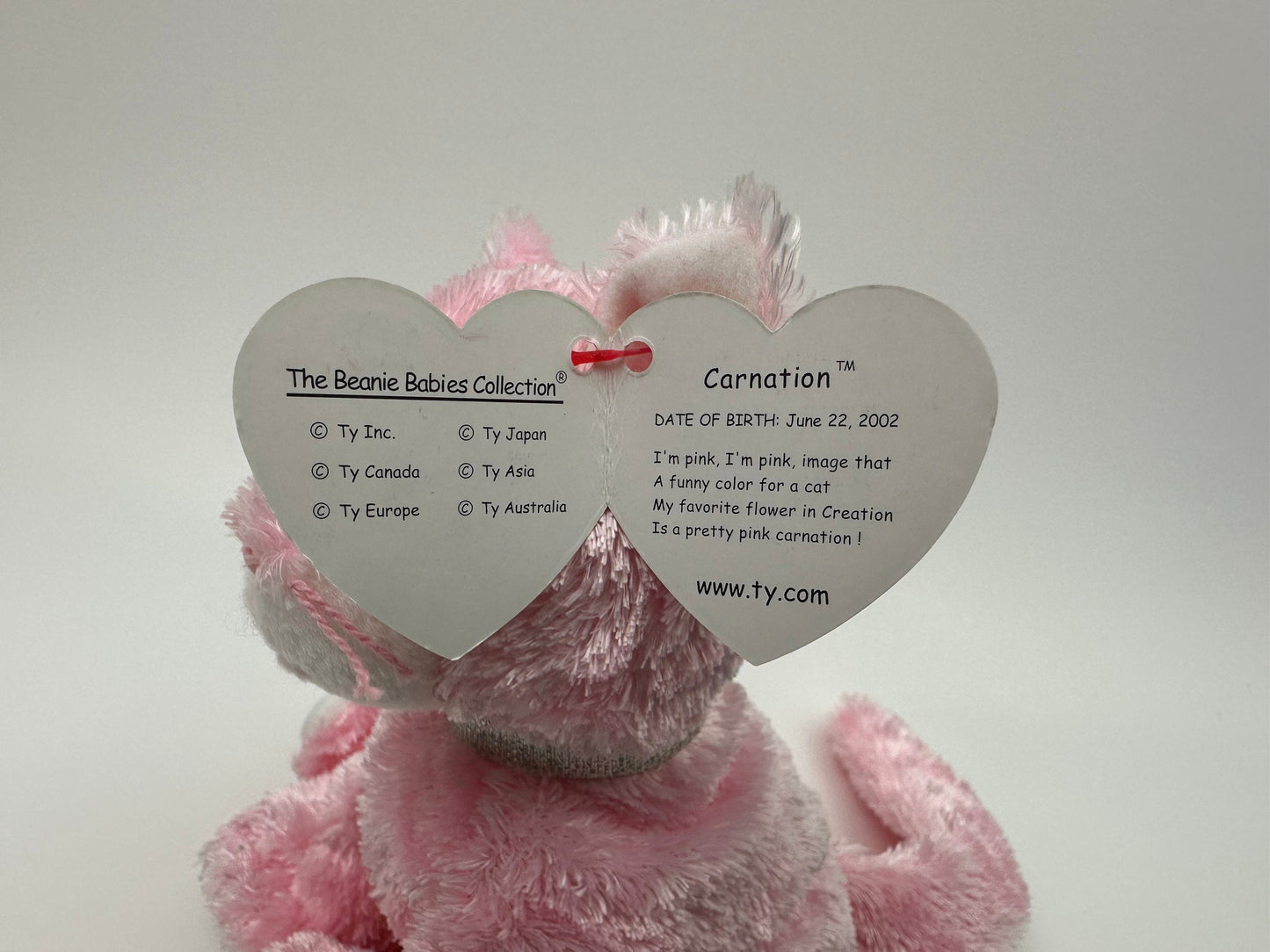 Ty Beanie Baby “Carnation” the Pink Cat! (6 inch)