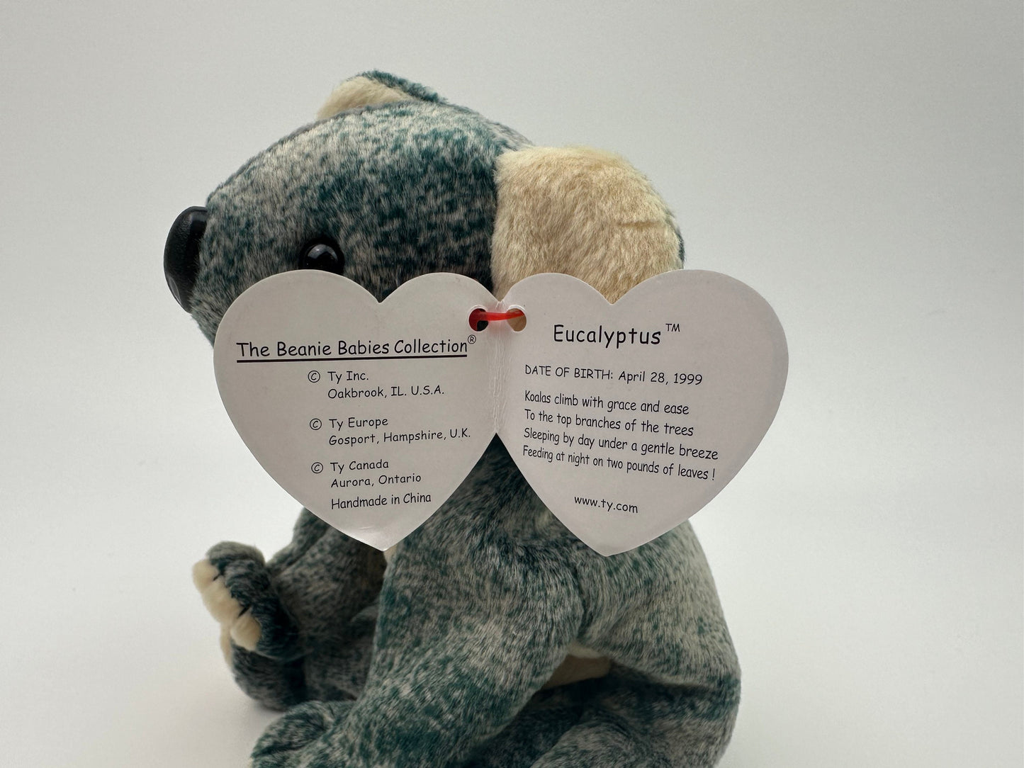 Ty Beanie Baby “Eucalyptus” the Koala  (5.5 inch)