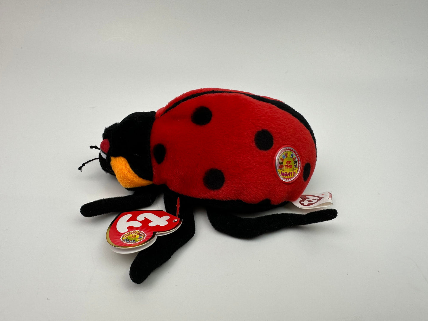 Ty Beanie Baby “Countess” the Ladybug! Beanie Baby of the Month (5 inch)