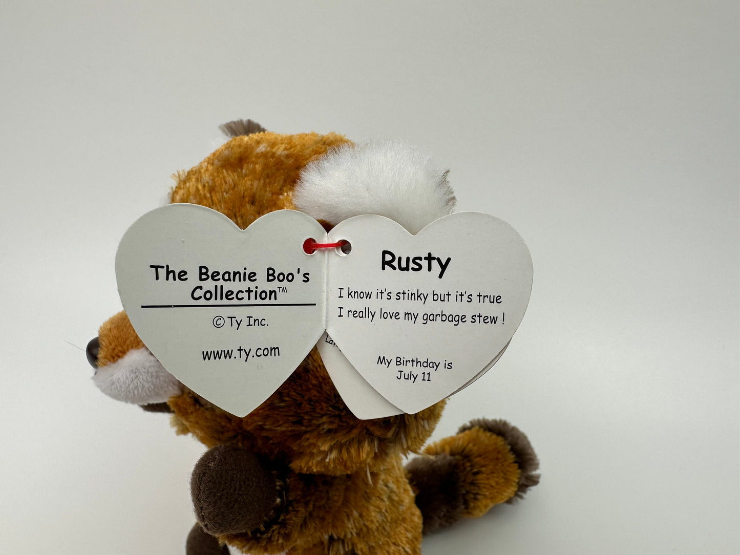 Ty Beanie Boo “Rusty” Racoon (6 inch)