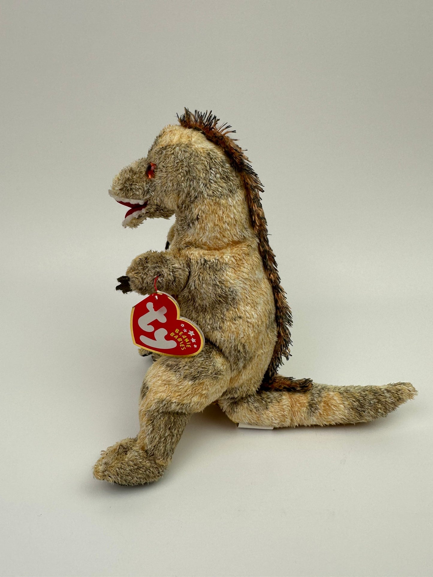 Ty Beanie Baby “Toothy” the Tyrannosaurus Rex Dinosaur ! (6 inch)