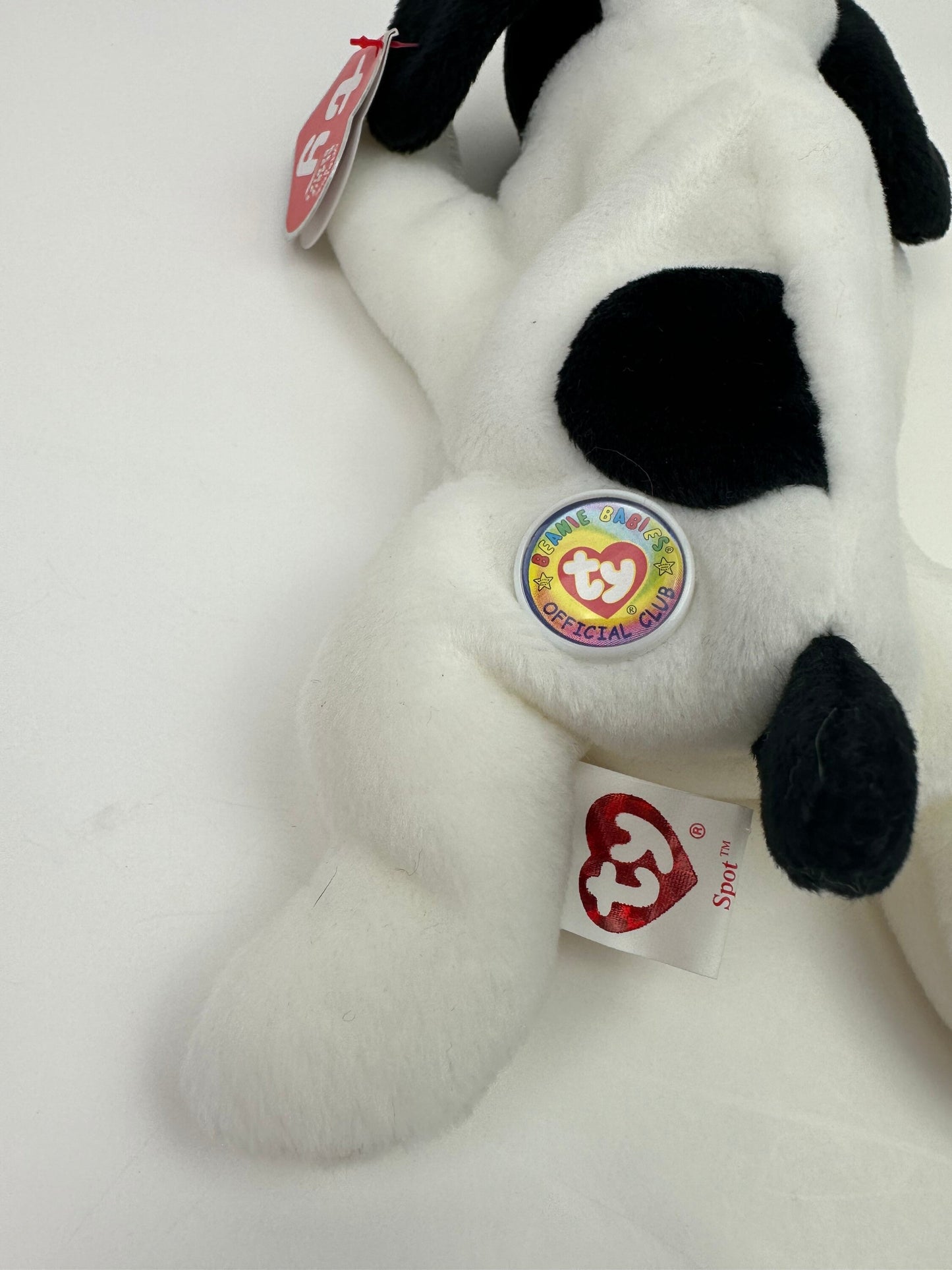 Ty Beanie Baby “Spot”‘the Dog - BBOC Exclusive *Rare* (8 inch)