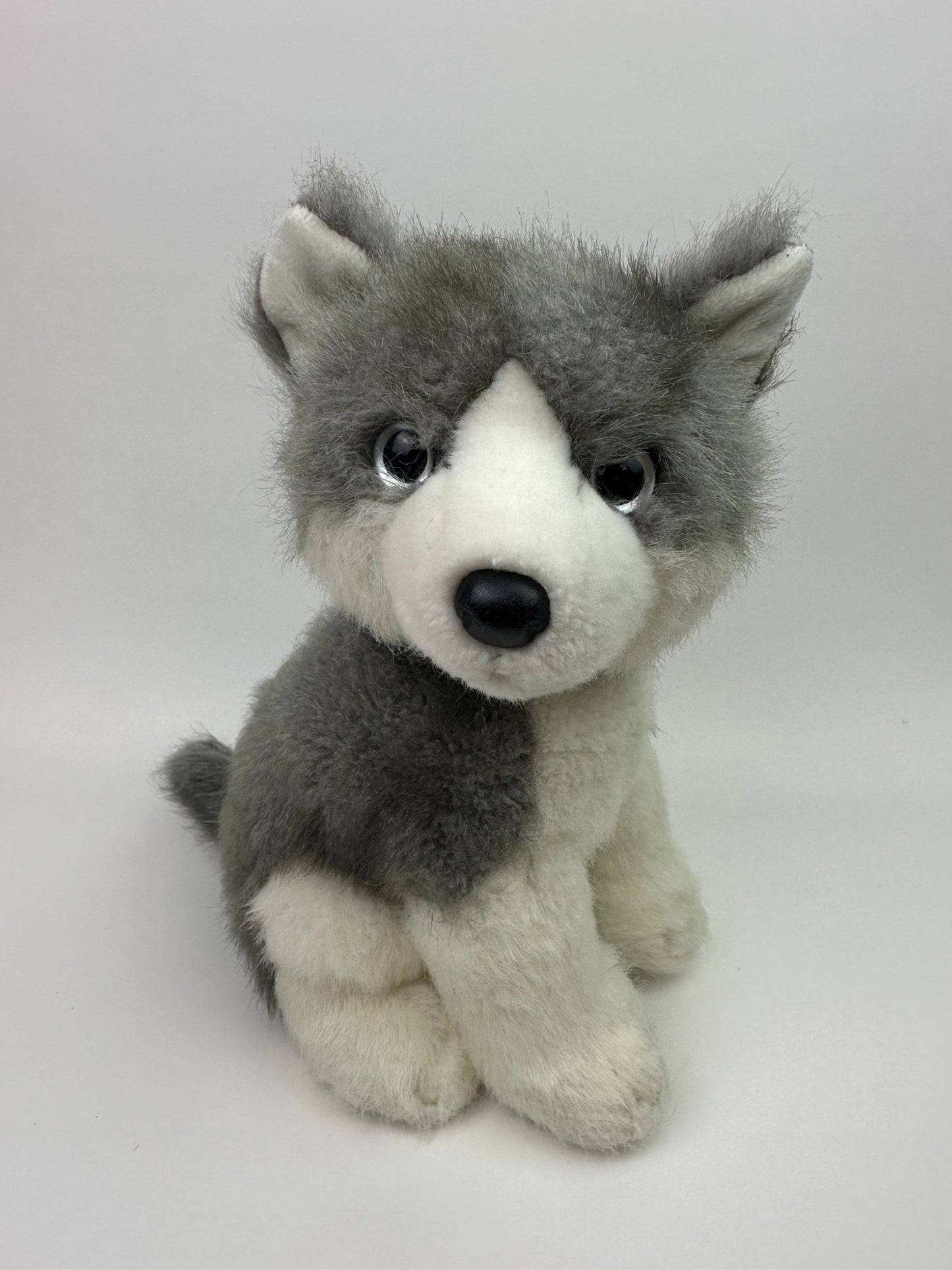 Ty Classics Collection “Boomtown” the Siberian Husky Dog  - No Hang Tag! (10 inch)