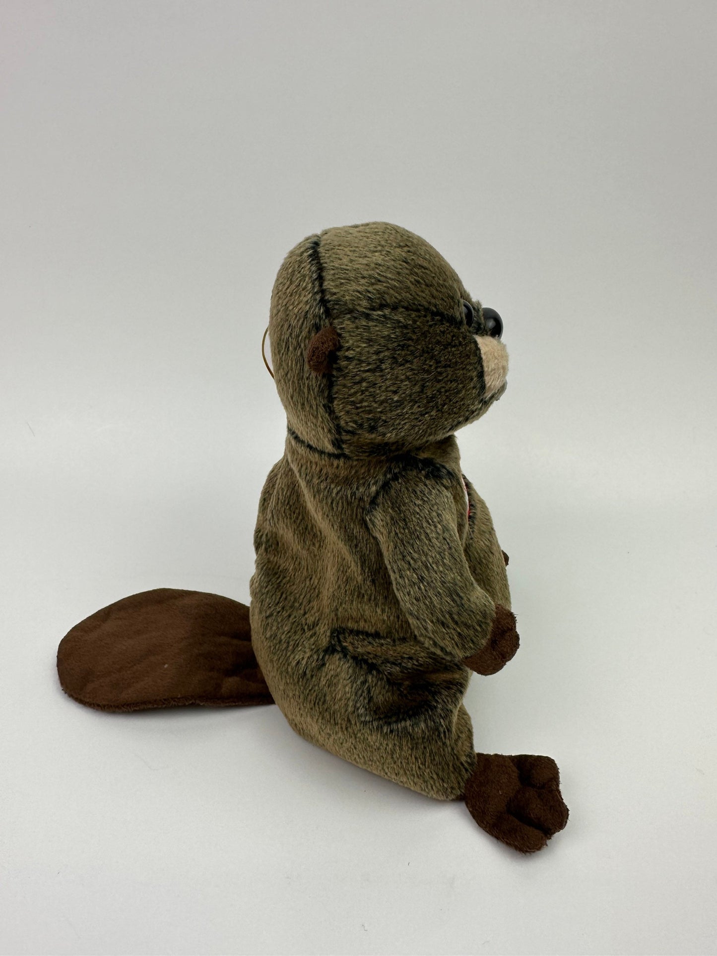 Ty Beanie Baby “Timbers” the Beaver - Canada Exclusive! *Rare! (6 inch)