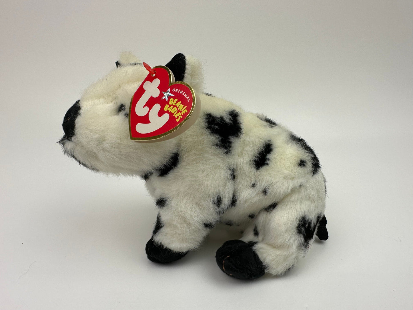 Ty Beanie Baby “Stubby” the Black and White Pig ! *Rare* (6.5 inch)