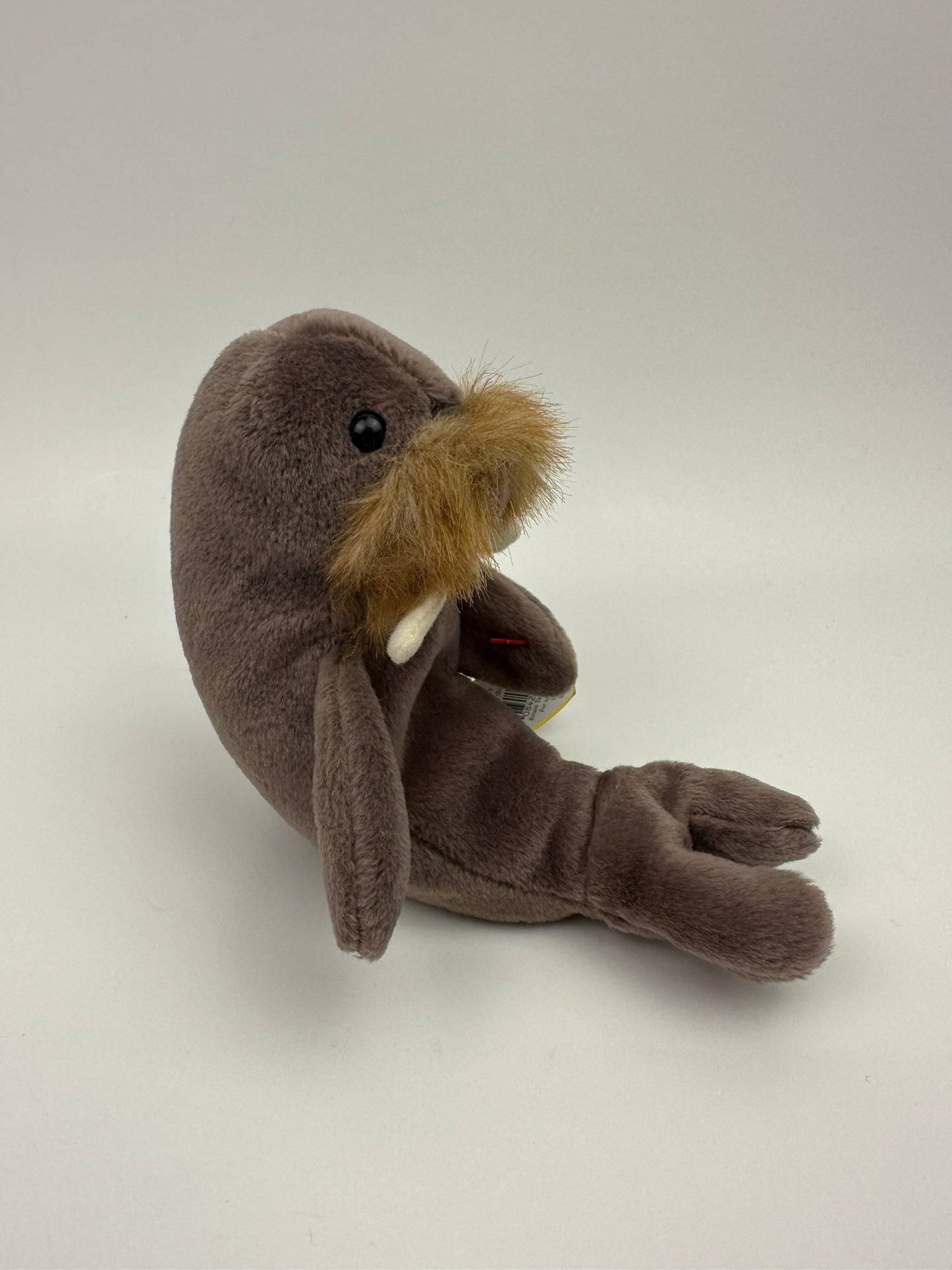 Ty Beanie Baby “Jolly” the Walrus! (7 inch)