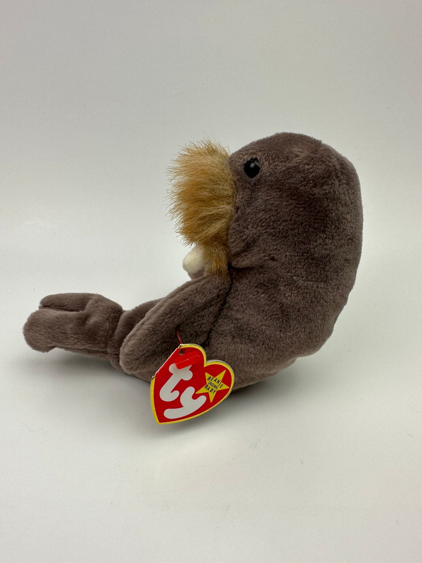 Ty Beanie Baby “Jolly” the Walrus! (7 inch)