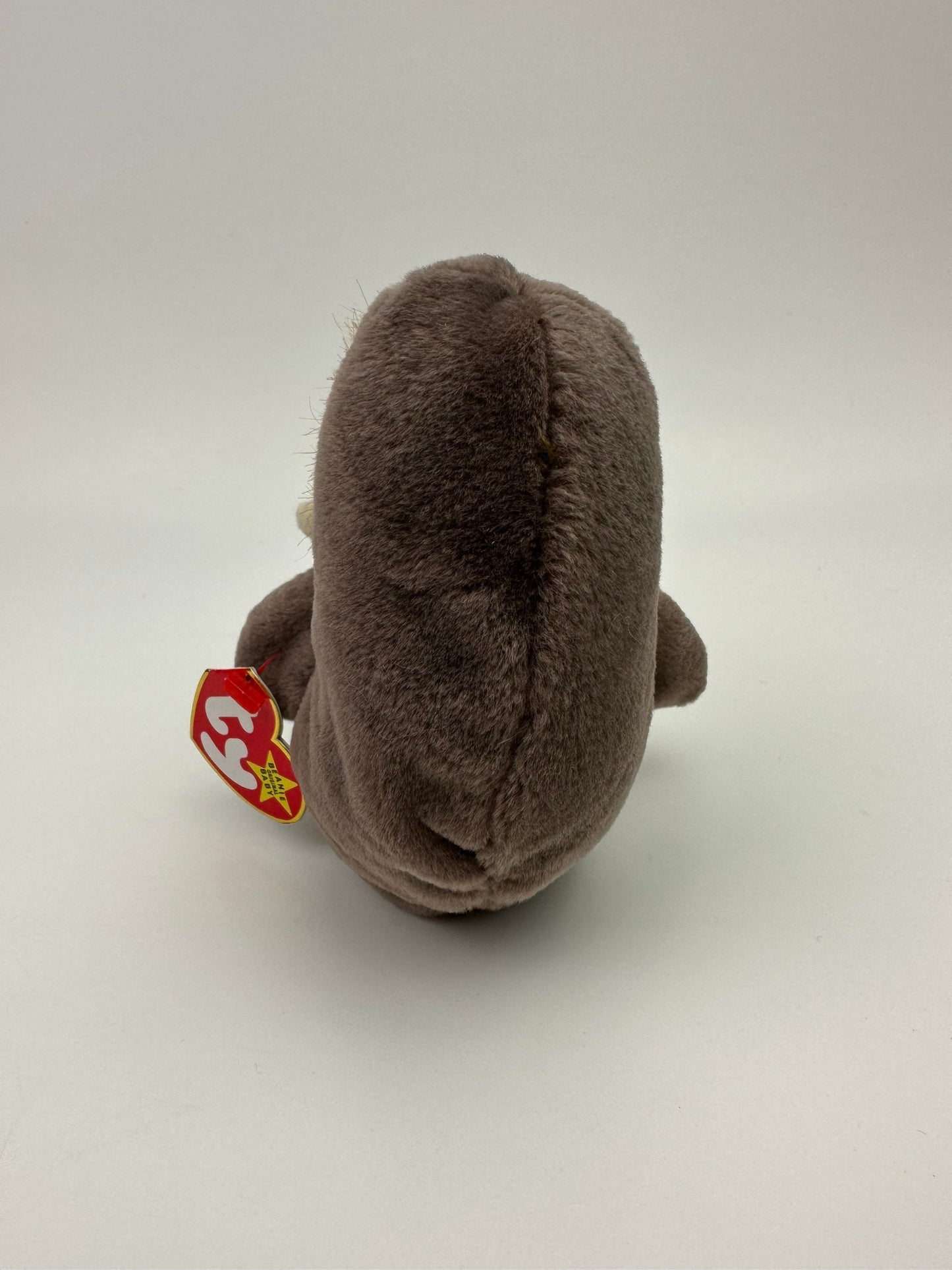 Ty Beanie Baby “Jolly” the Walrus! (7 inch)