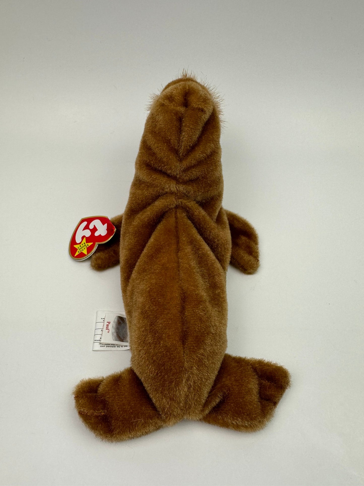 Ty Beanie Baby “Paul” the Walrus! (7 inch)