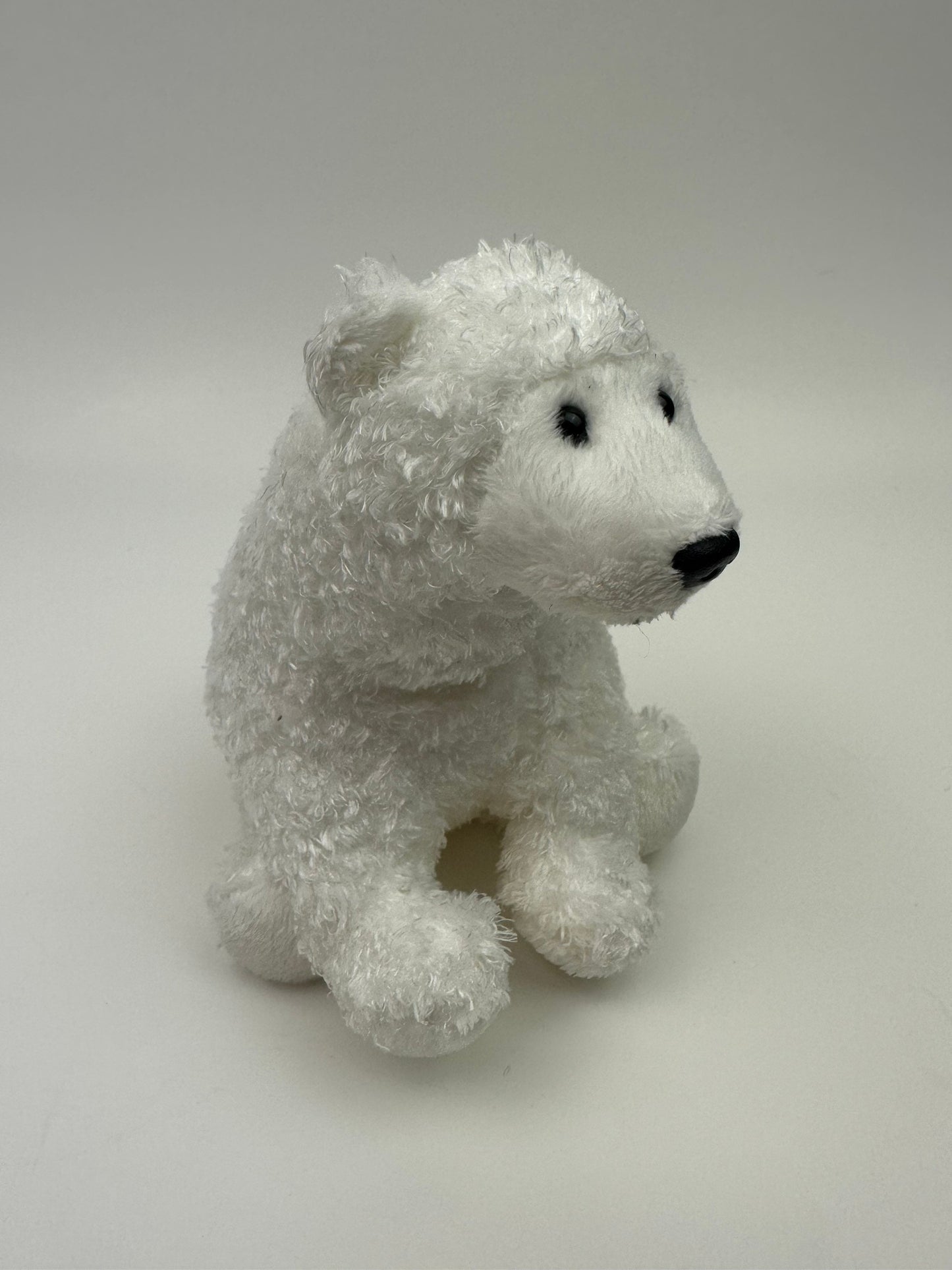 Ty Beanie Baby “Chillton” the Polar Bear - Beanie Baby of the Month (6.5 inch)