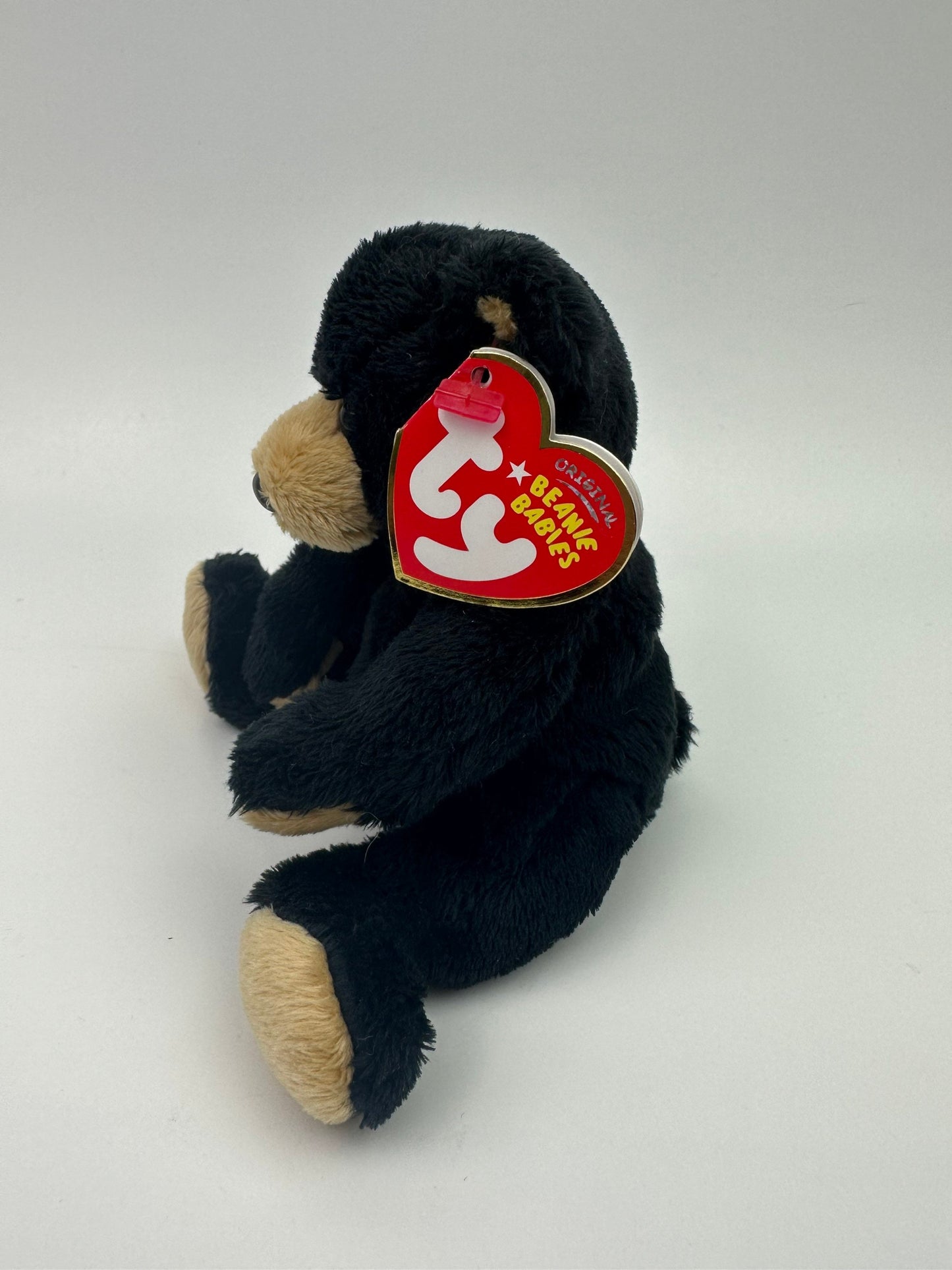 Ty Beanie Baby “Snacks” the Black Bear (5 inch)