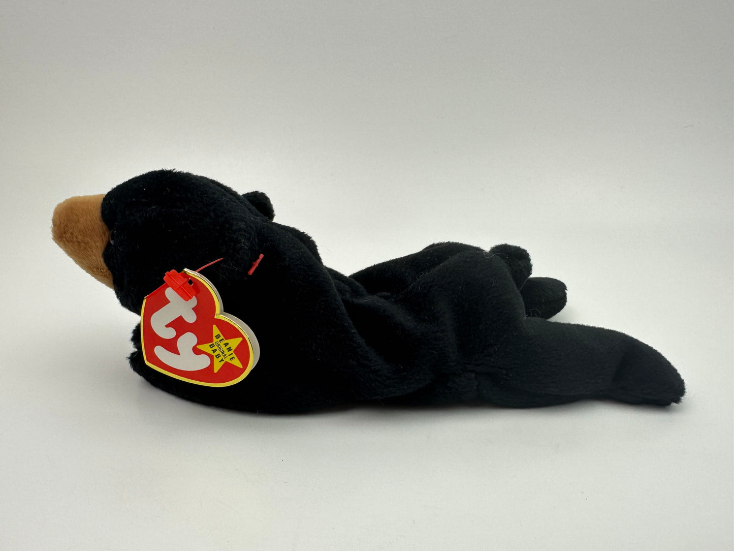 Ty Beanie Baby “Blackie” the Black Bear (8.5 inch)