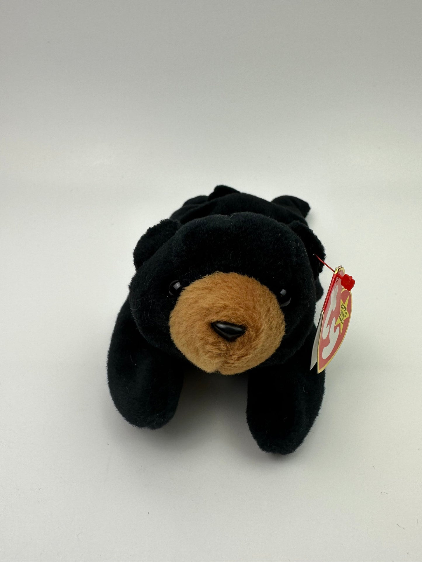 Ty Beanie Baby “Blackie” the Black Bear (8.5 inch)