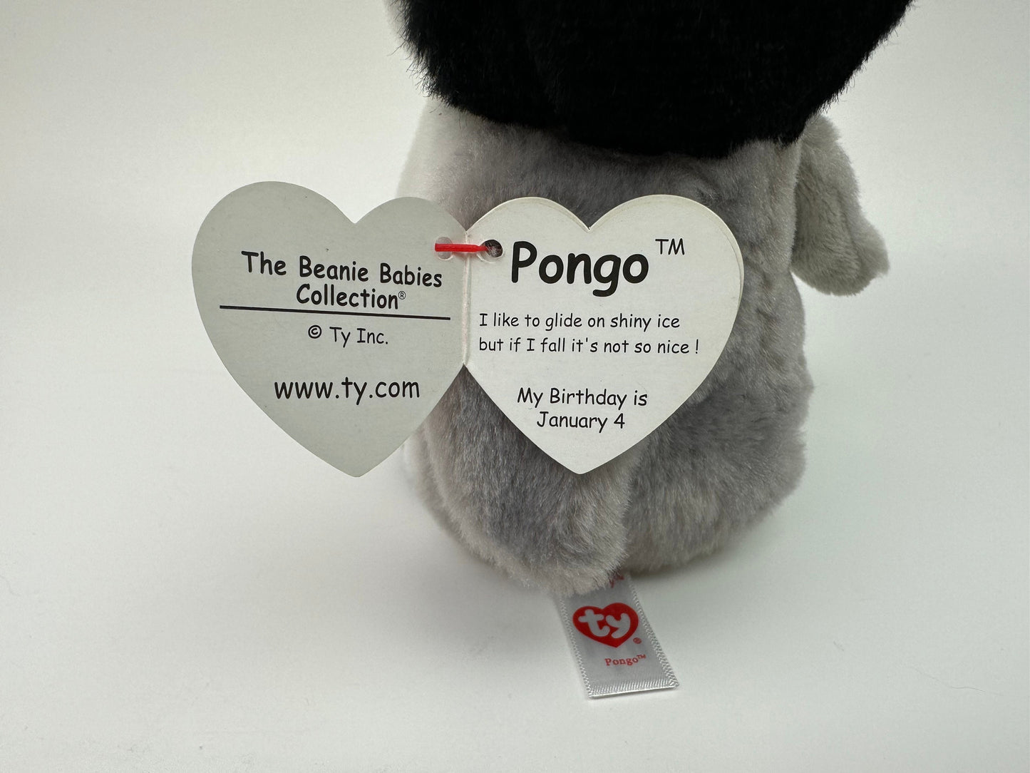 Ty Beanie Baby “Pongo” the Penguin (6 inch)