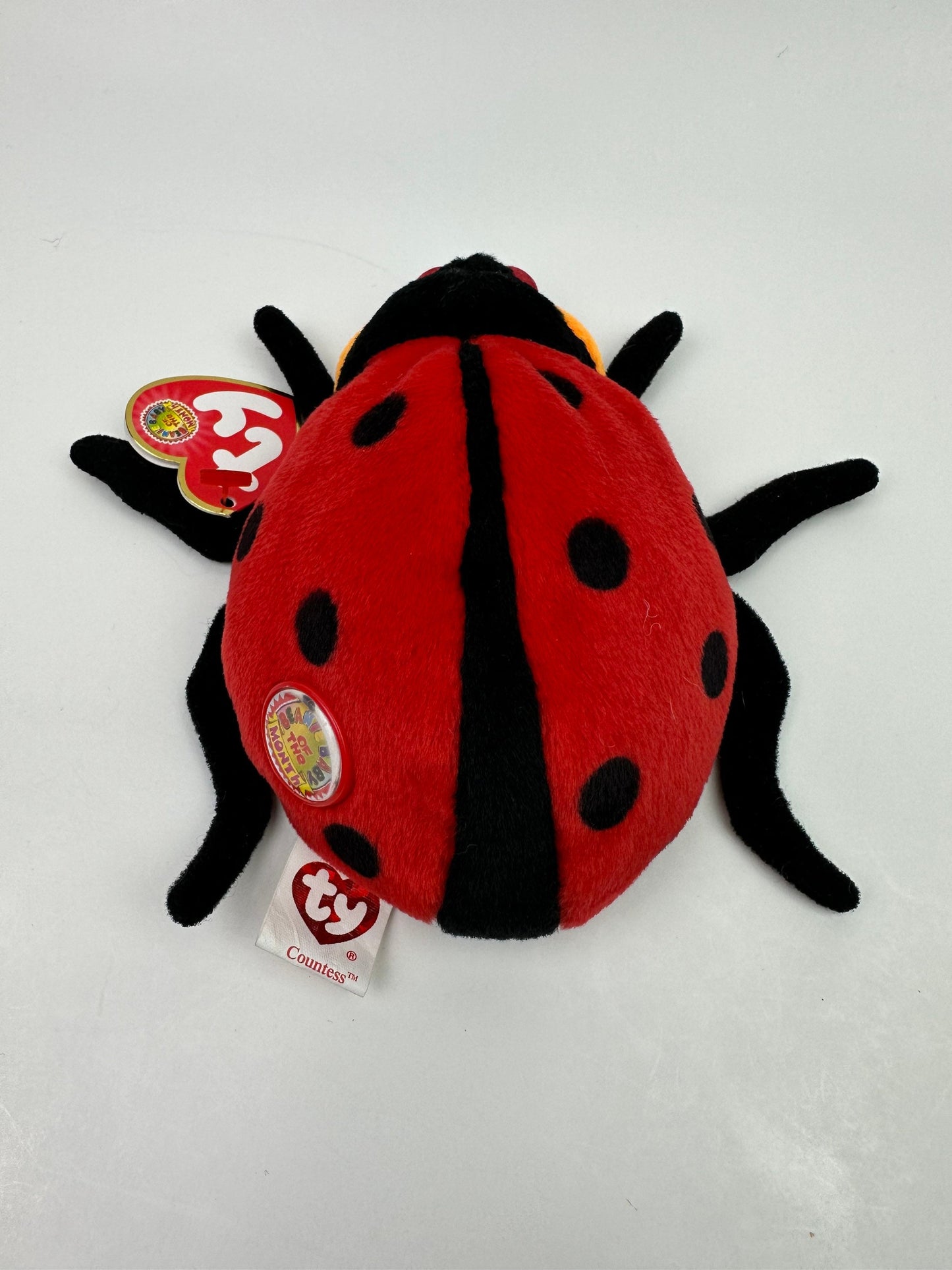 Ty Beanie Baby “Countess” the Ladybug! Beanie Baby of the Month (5 inch)