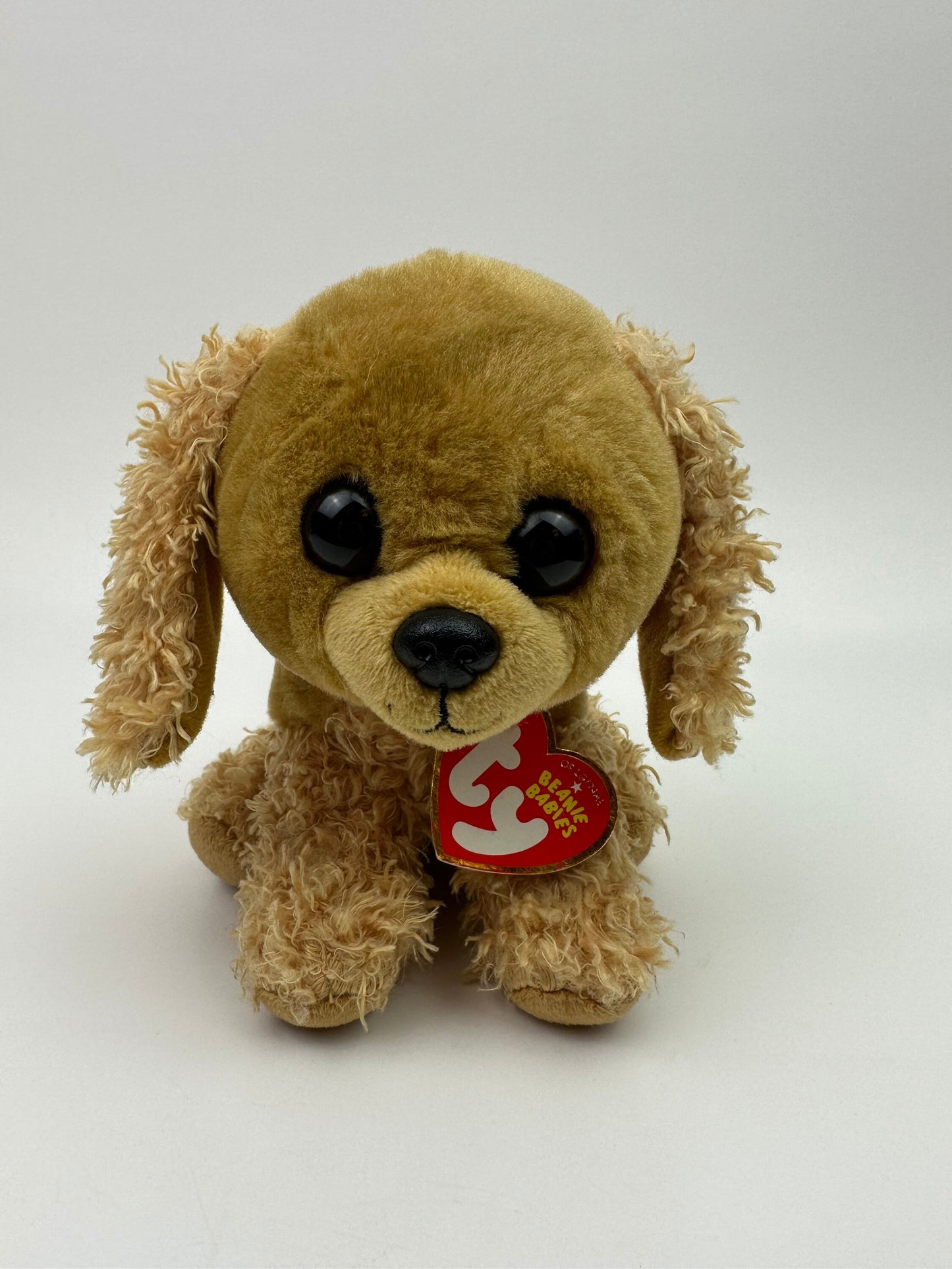 TY Beanie Baby “Sadie” the Cocker Spaniel Dog Plush! (6 inch)