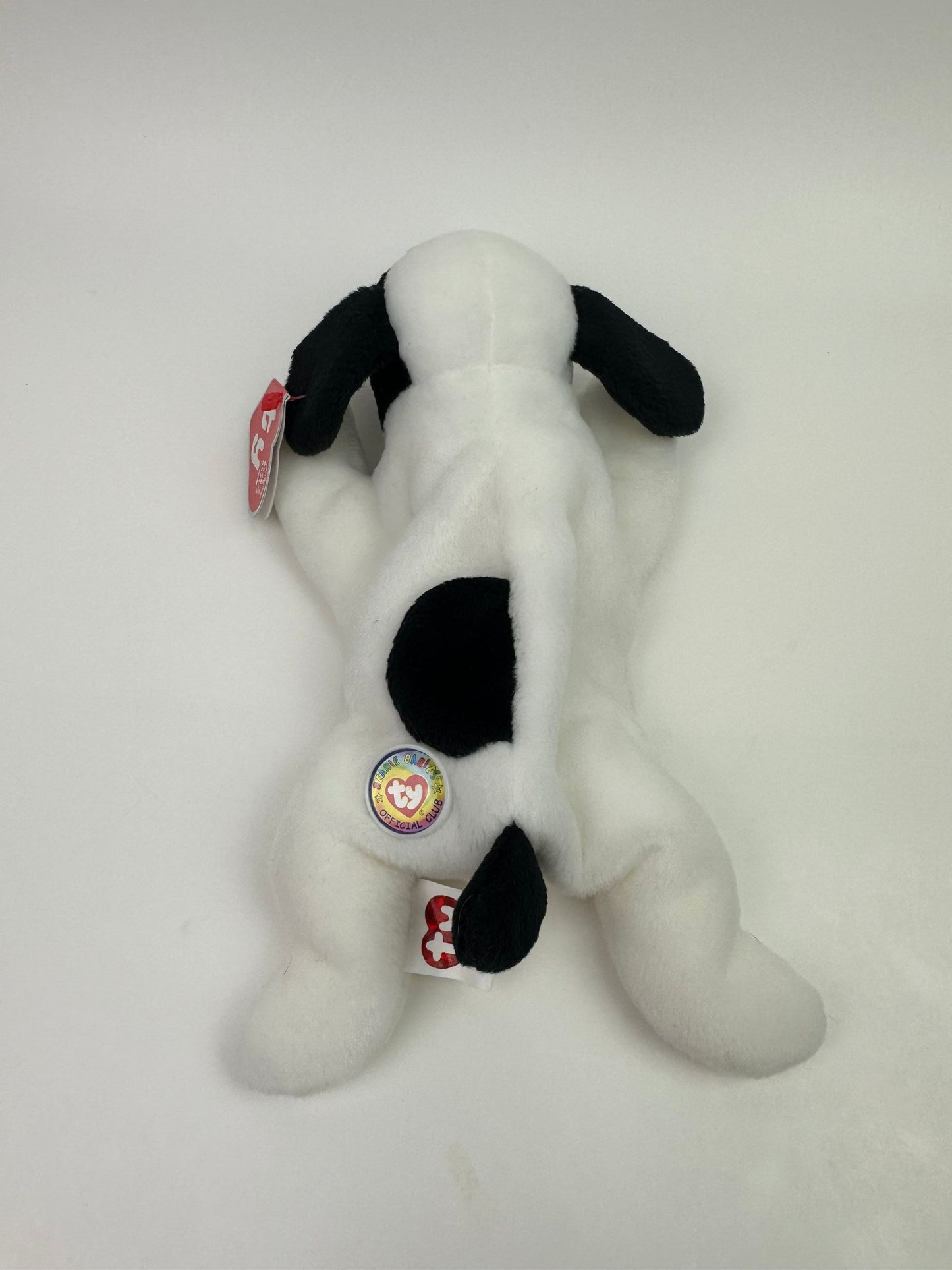 Ty Beanie Baby “Spot”‘the Dog - BBOC Exclusive *Rare* (8 inch)