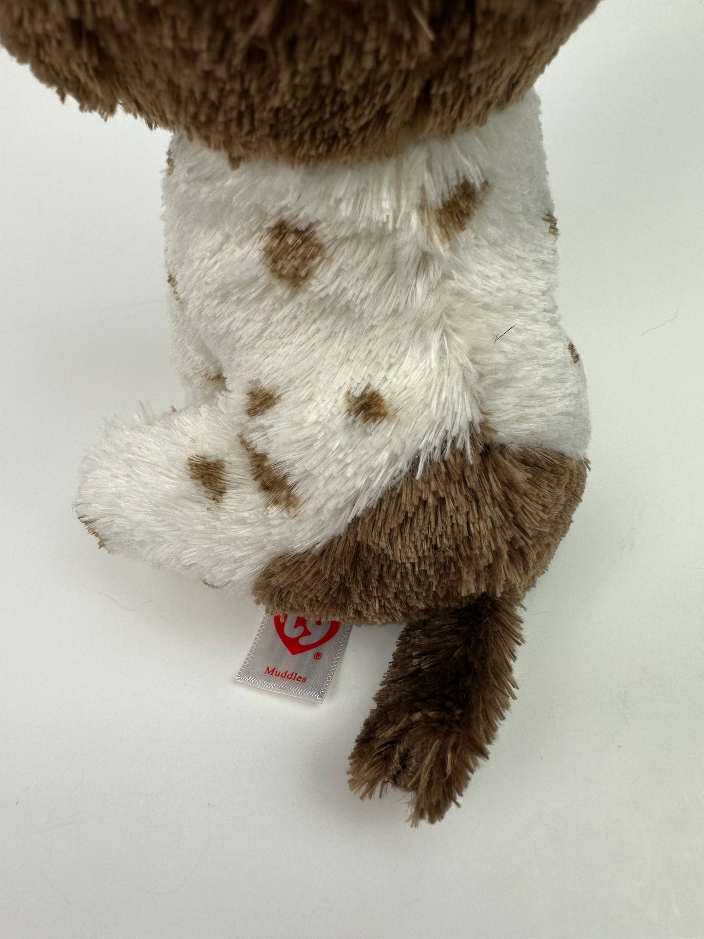 Ty Beanie Boo “Muddles” the Dog - No Hang Tag (6 inch)