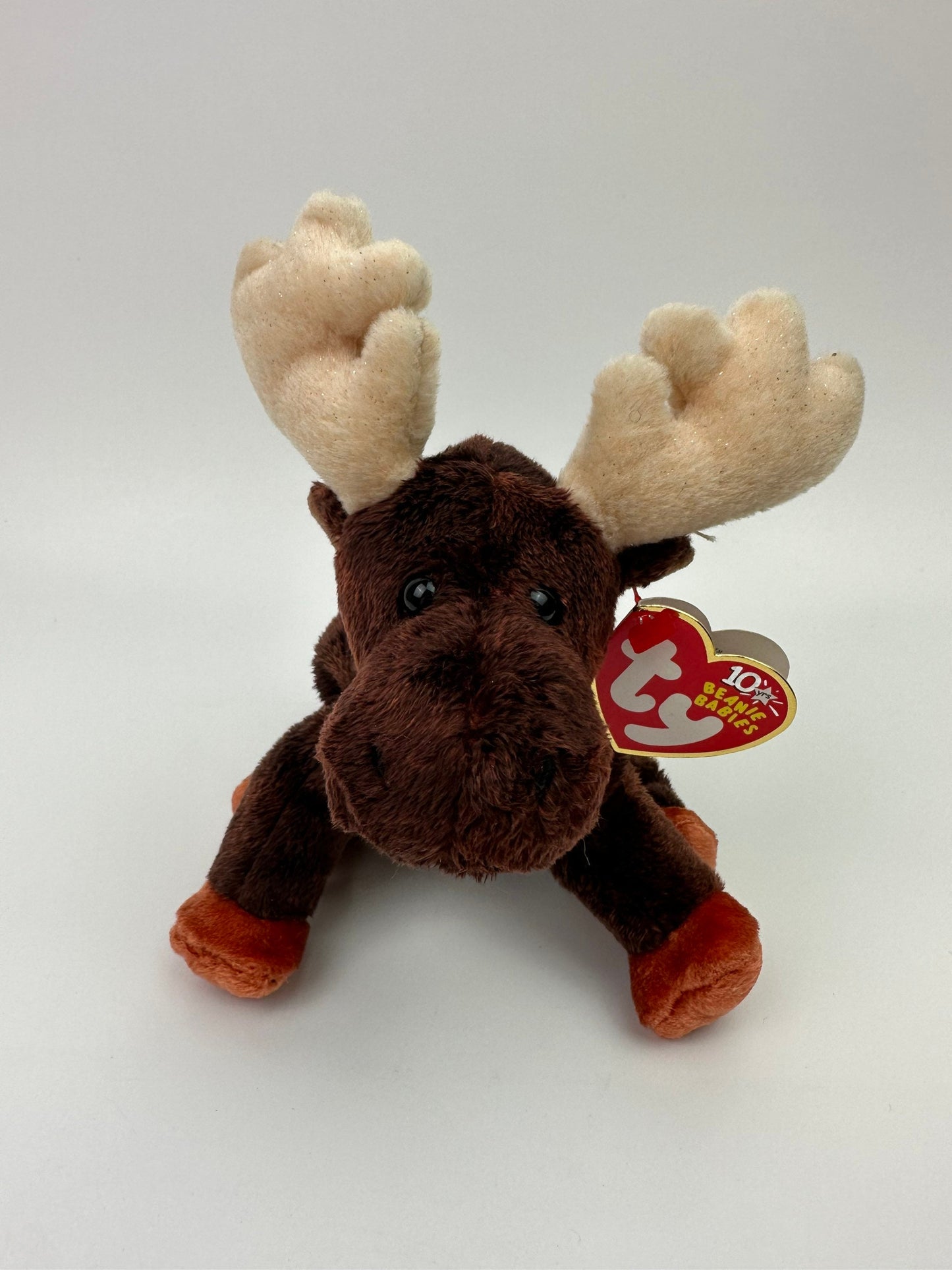 Ty Beanie Baby “Zeus” the Moose! (6.5 inch)