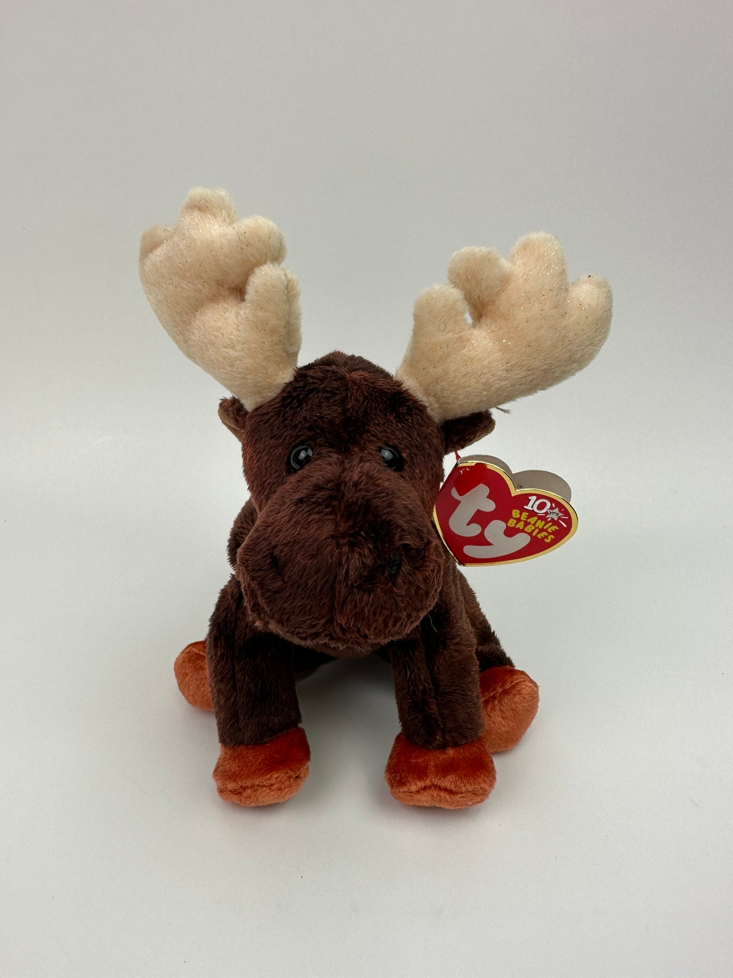 Ty Beanie Baby “Zeus” the Moose! (6.5 inch)