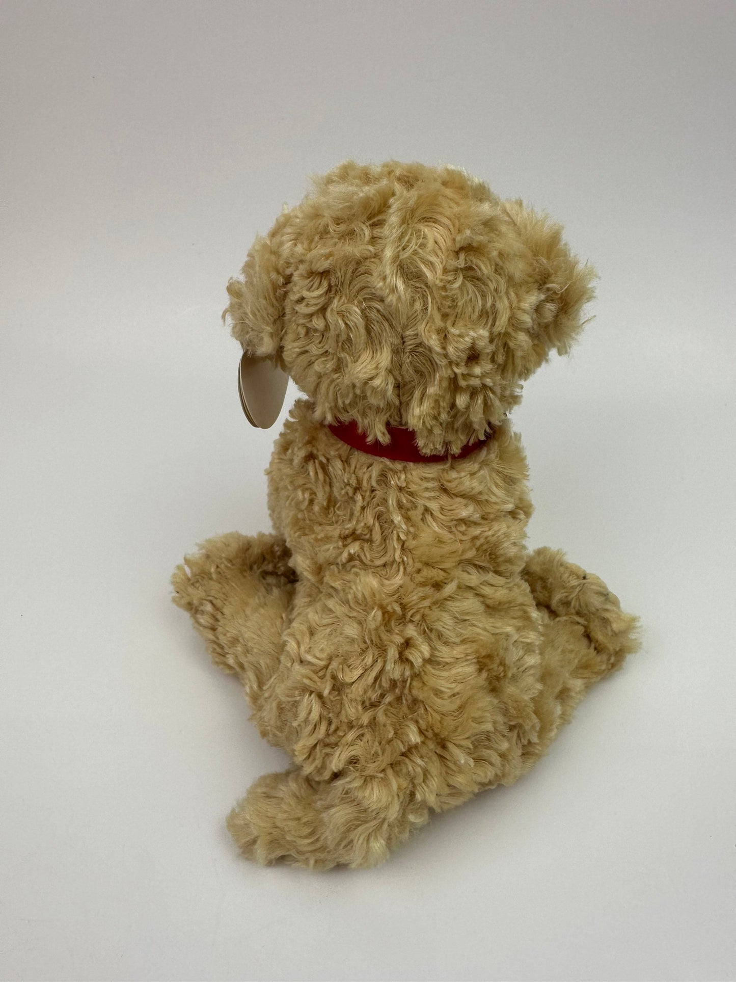 Ty Beanie Baby “Dooley” the Golden Retriever Dog ! *RARE* (6.5 inch)