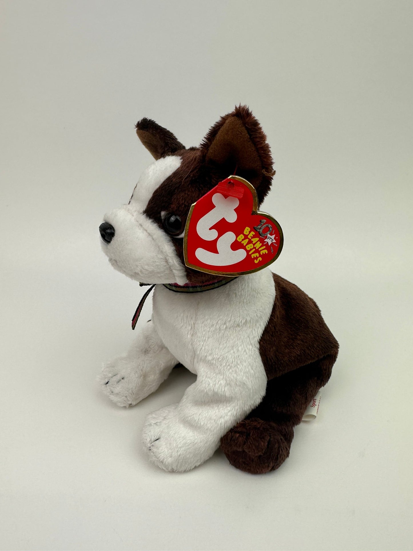 Ty Beanie Baby “Sport” the Dog! (6 inch)