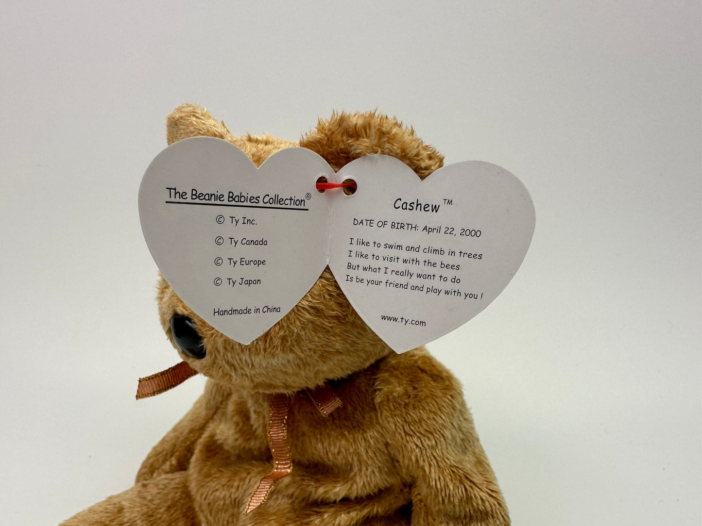 Ty Beanie Baby “Cashew” the Bear! (8.5 inch)