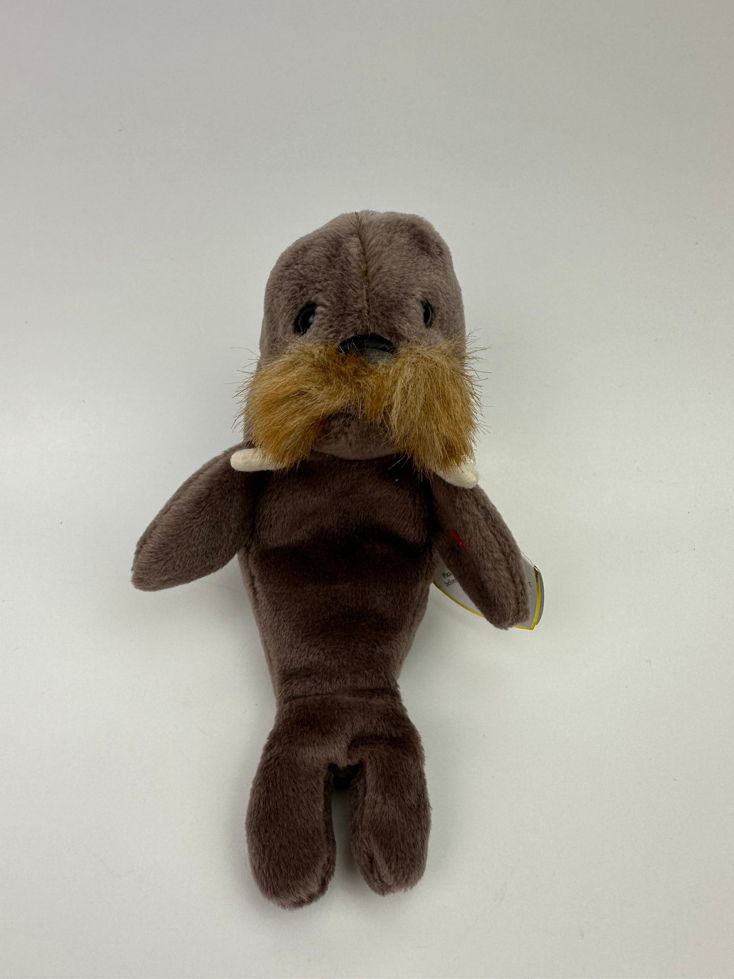 Ty Beanie Baby “Jolly” the Walrus! (7 inch)