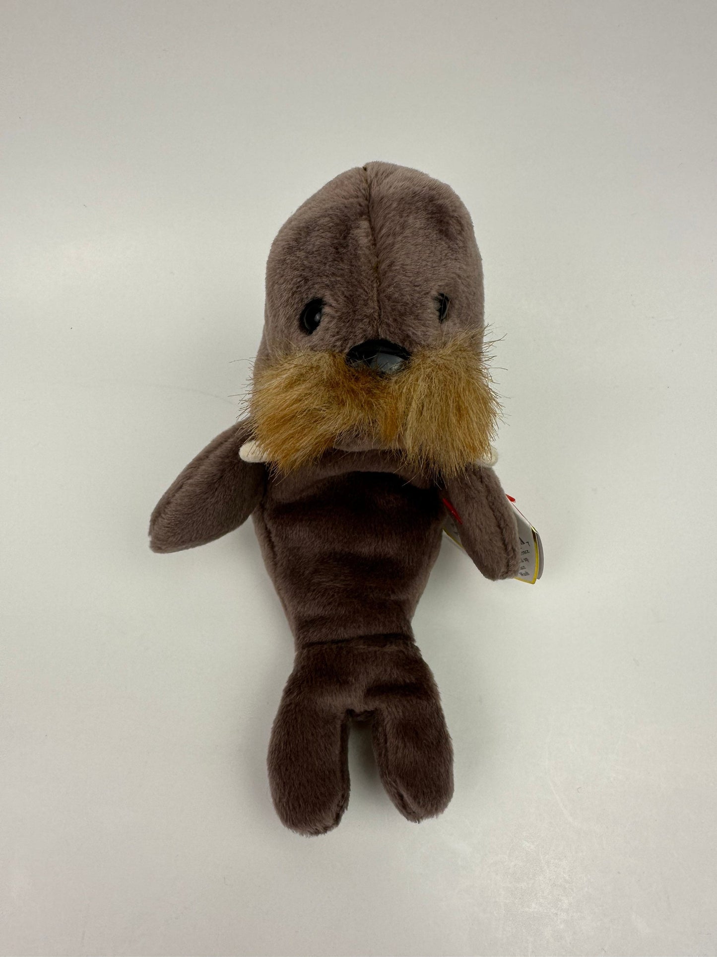 Ty Beanie Baby “Jolly” the Walrus! (7 inch)