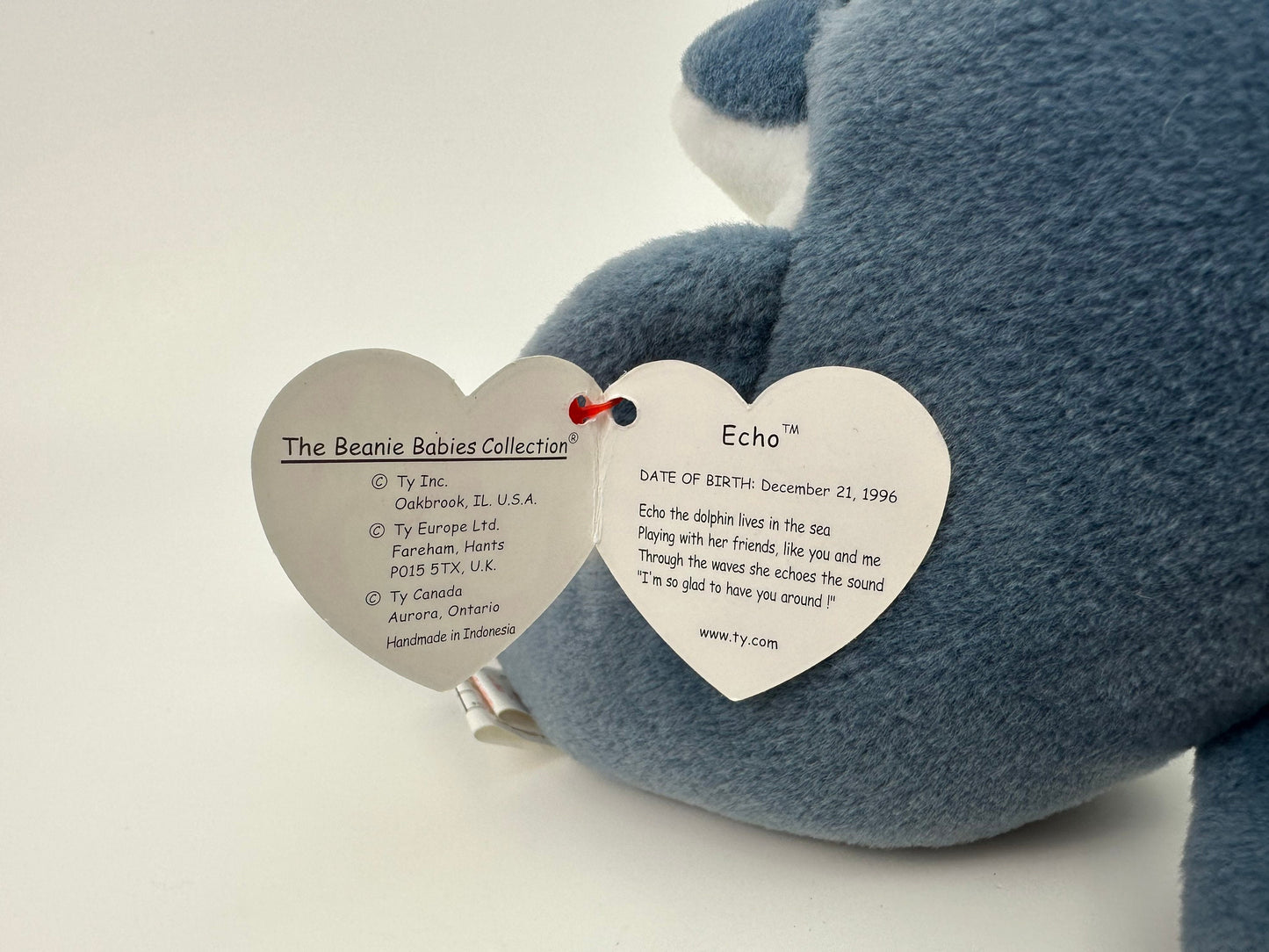 Ty Beanie Baby “Echo” the Dolphin! (6.5 inch)