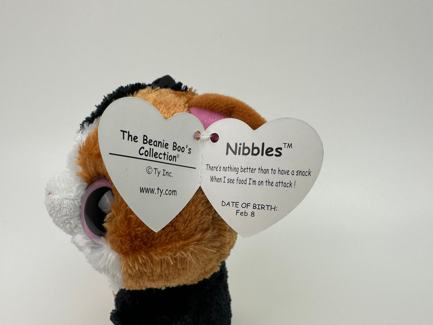 Ty Beanie Boo “Nibbles” the Guinea Pig (5.5 inch)