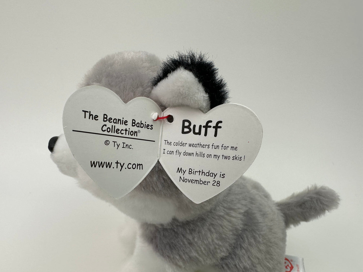 Ty Beanie Baby “Buff” the Husky (6 inch)